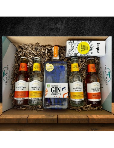 Coffret Gin Tonic Attribut 3 BIO Véritable concentré