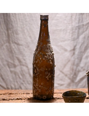 Sake Junmai Ginjo Immergé votre