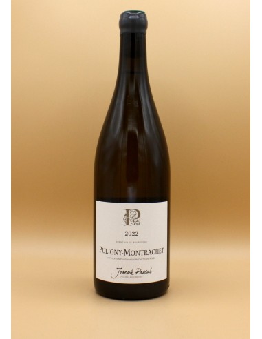 Joseph Pascal - Puligny Montrachet 2022 hantent personnes